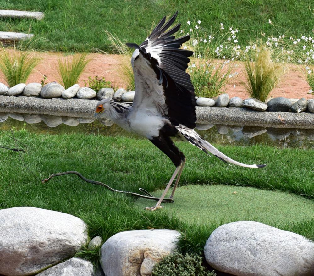 Sekretär