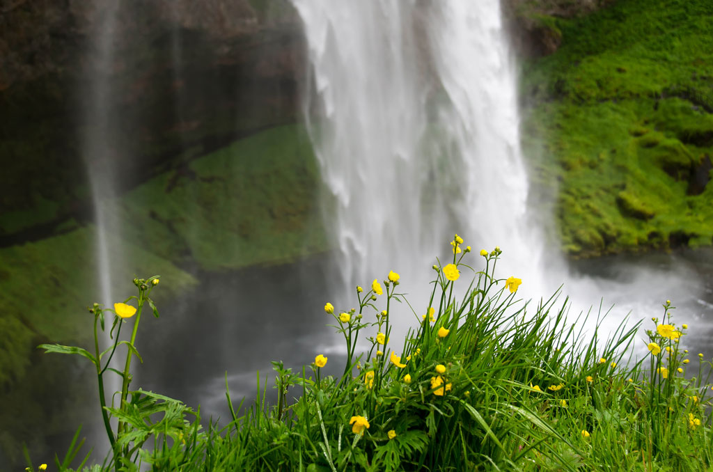 seljalandsfoss