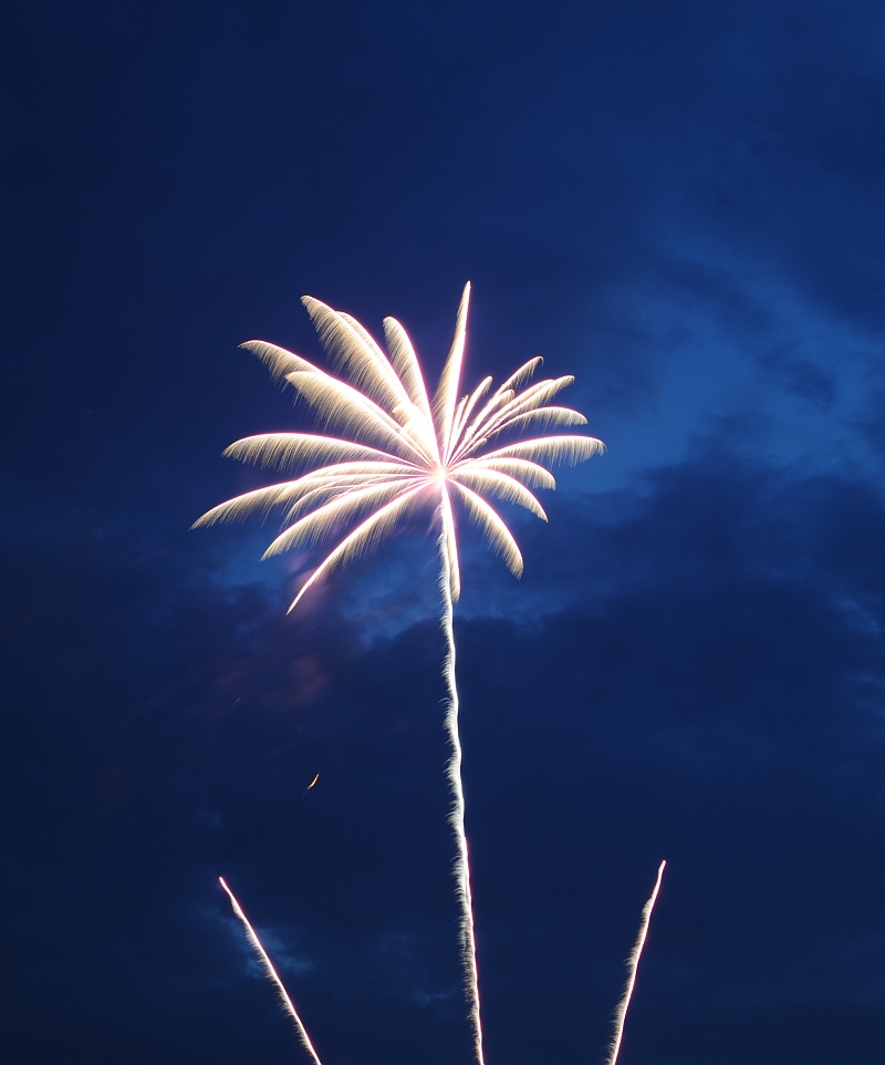 Send Feuerwerk 2009