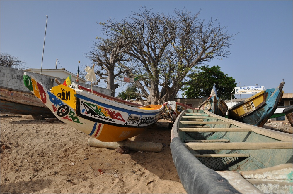 Senegal Einleitung 03