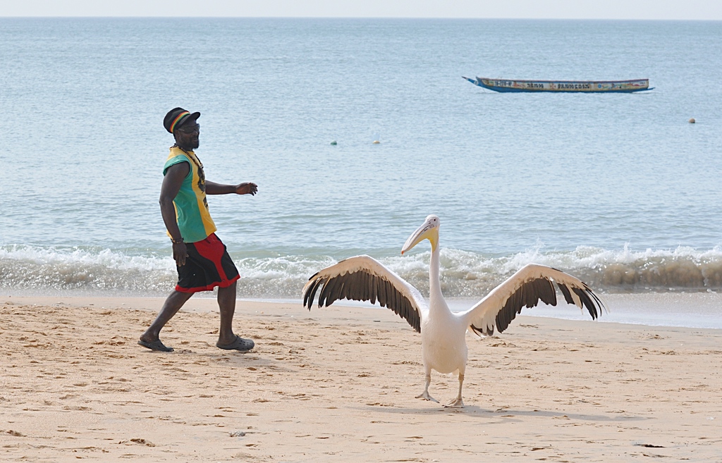 Senegal Tanz 2