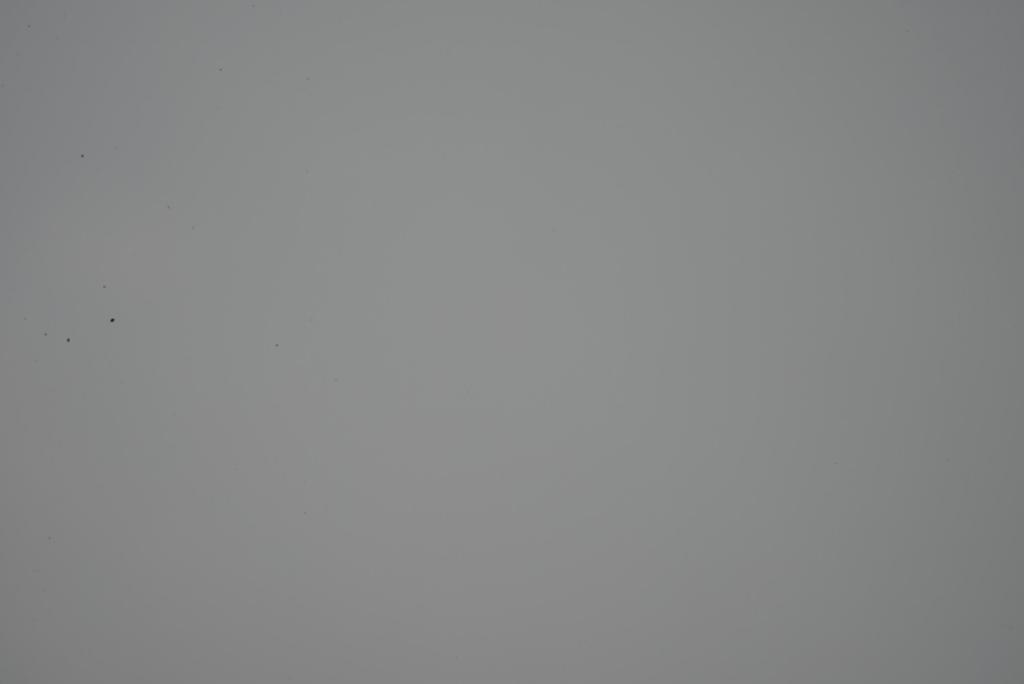 Sensor D600