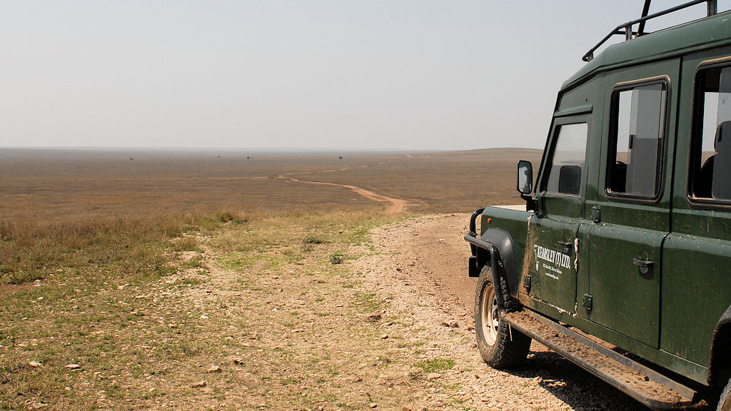 Serengeti Plains
2478