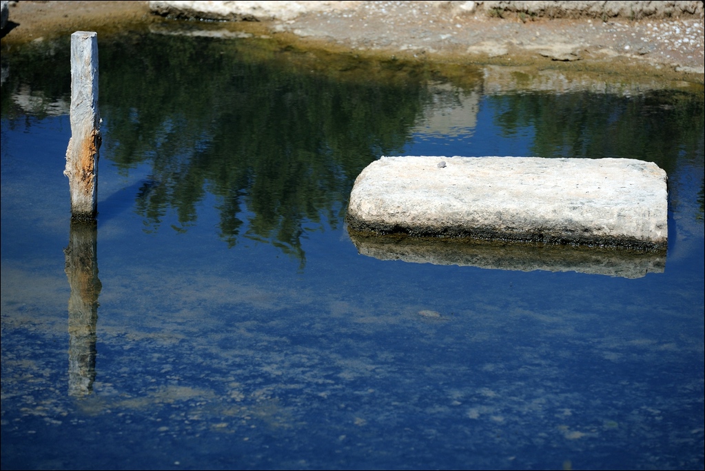 Ses Salines - tote Natur
