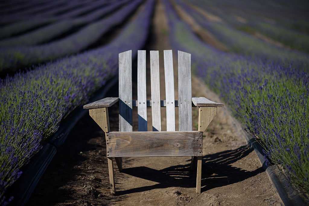 Sessel Lavendel klein