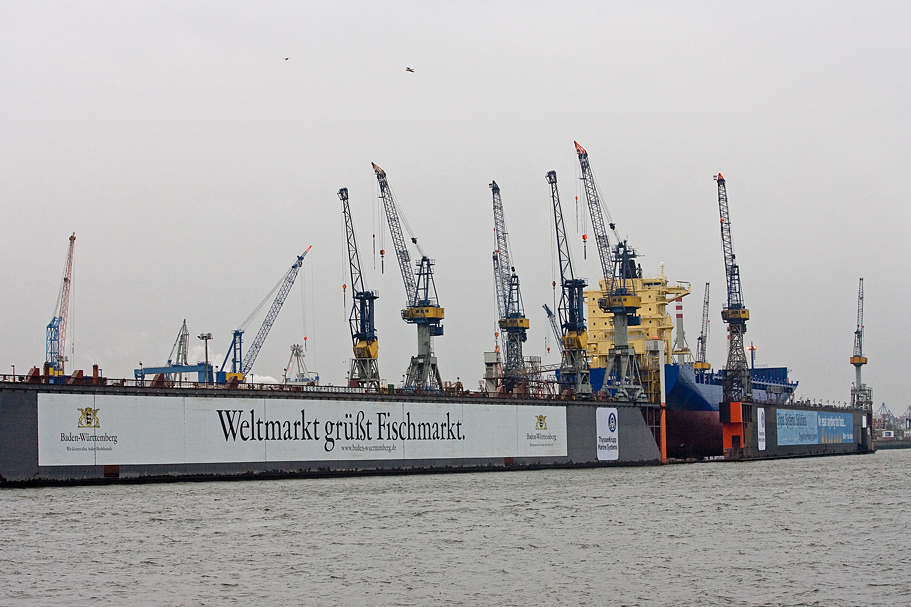 SF5M8541 bearbeitet 3