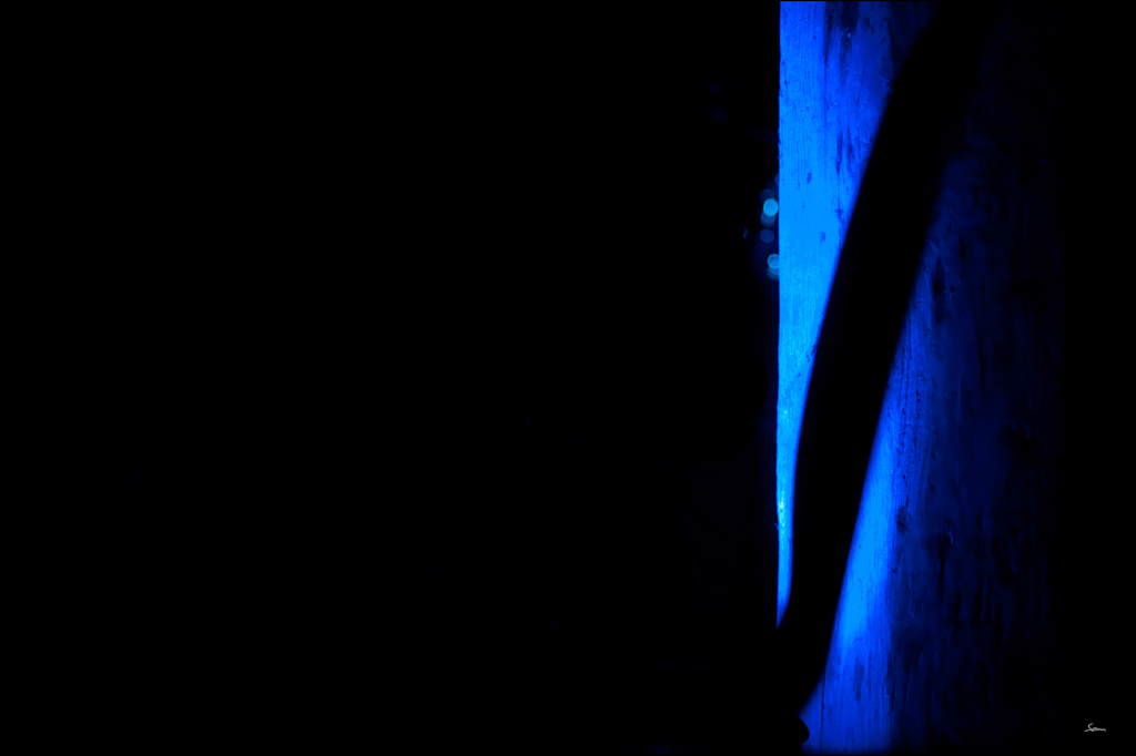 SFDSC 2643