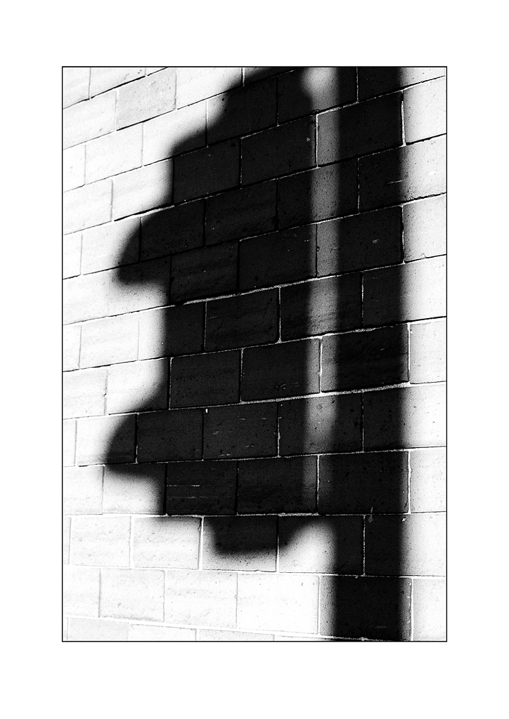 shadow 1 1024