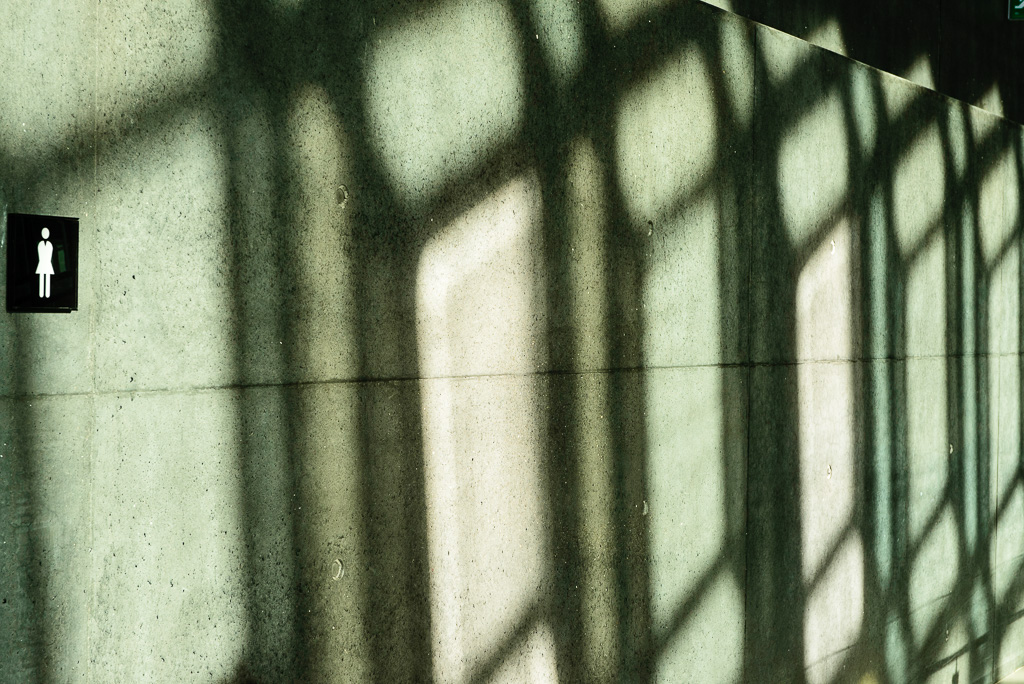 Shadows