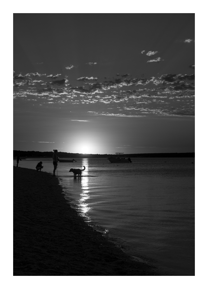 shark bay evening