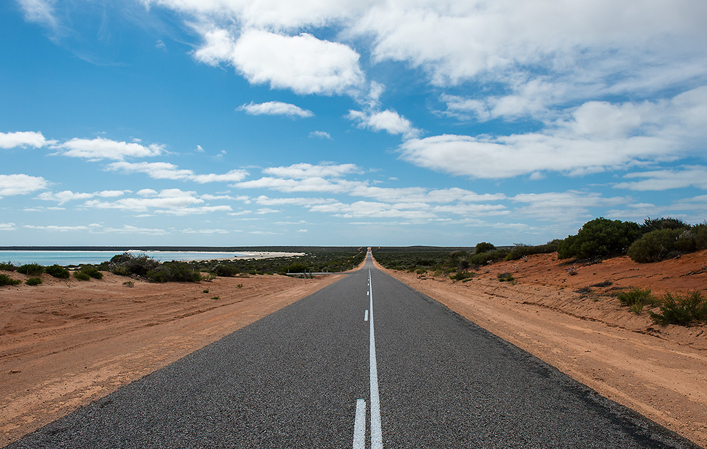 shark bay2