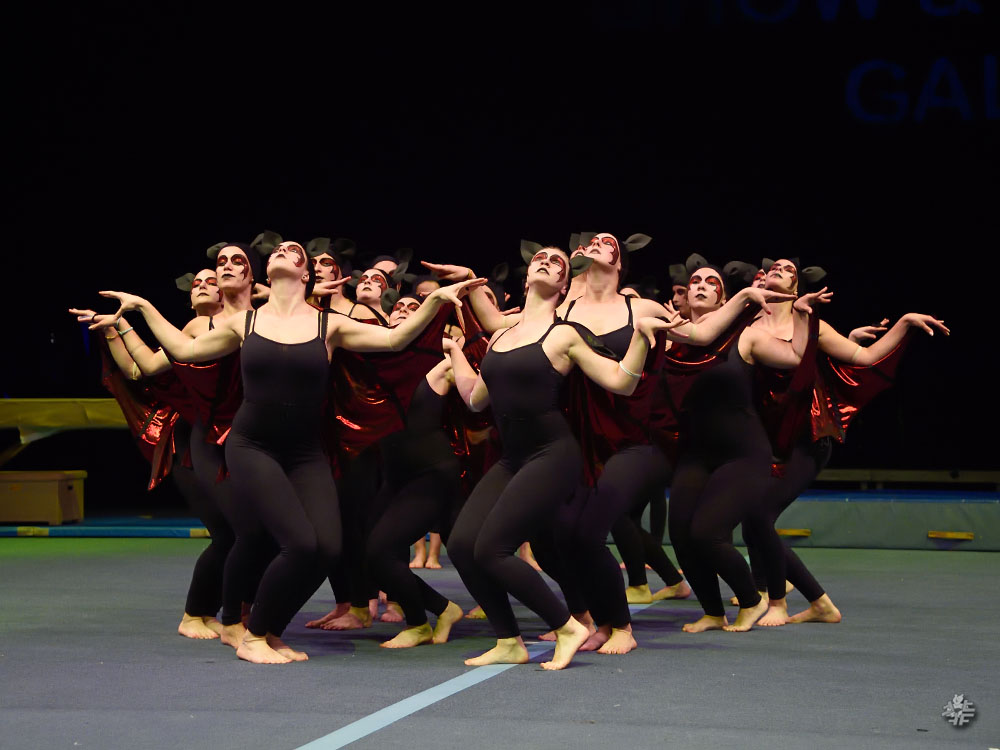 Show Dance Gala 2015, 0905