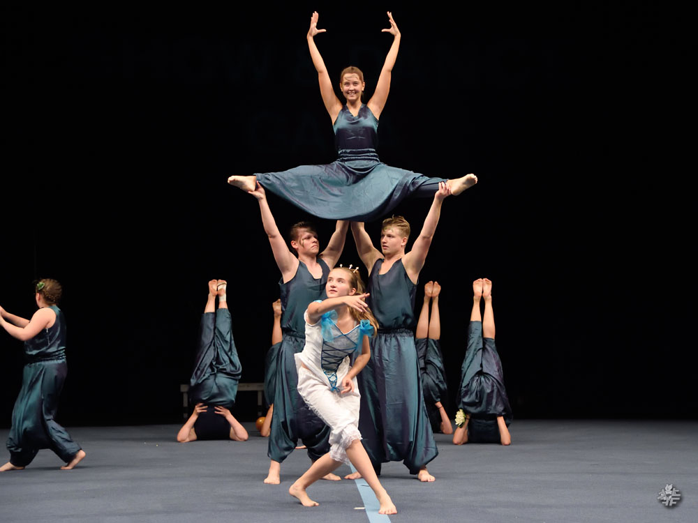Show Dance Gala 2015, 0967