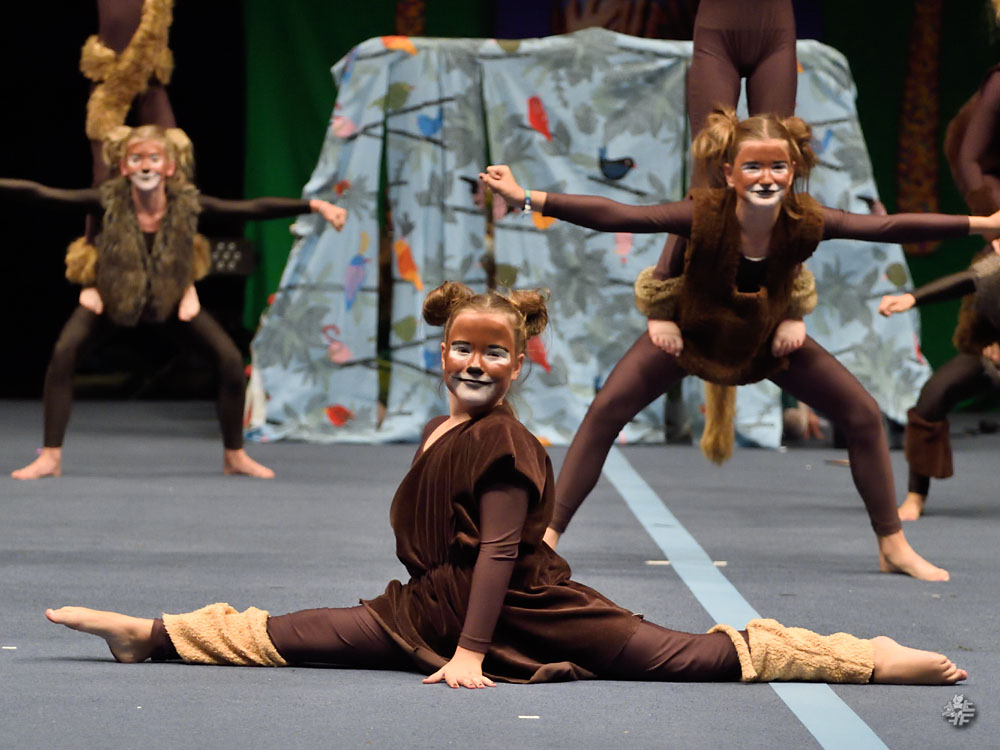 Show Dance Gala 2015, 1324