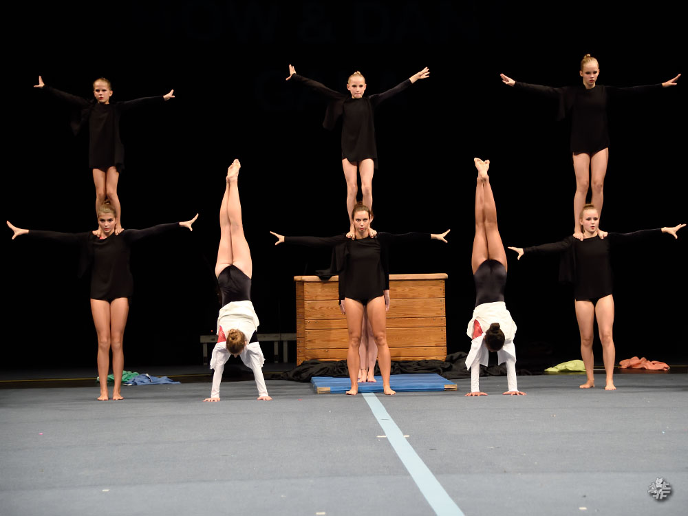 Show Dance Gala 2015, 1494