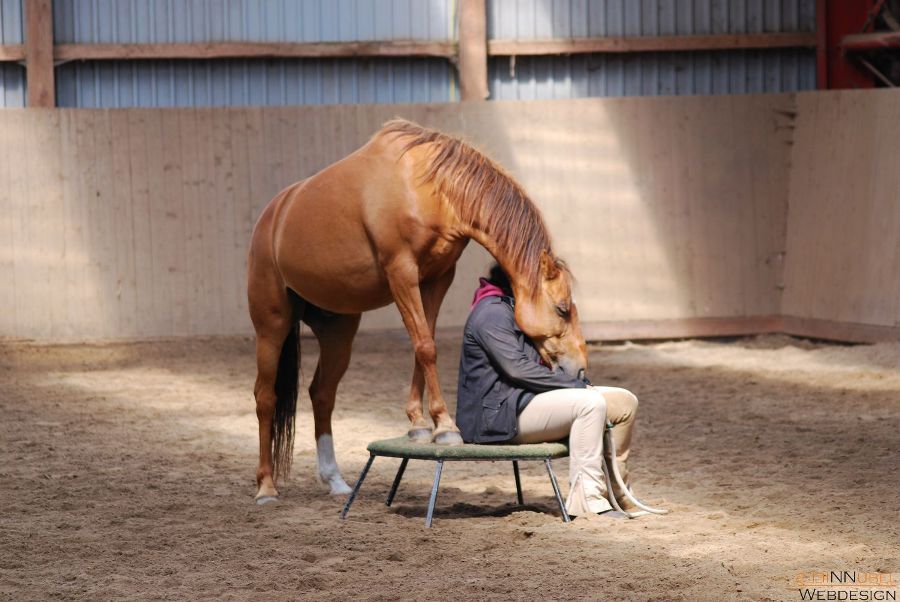 show DSC 0898