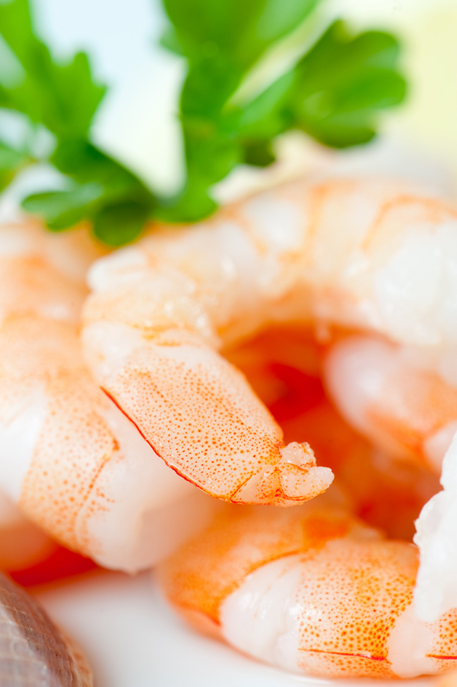 shrimp