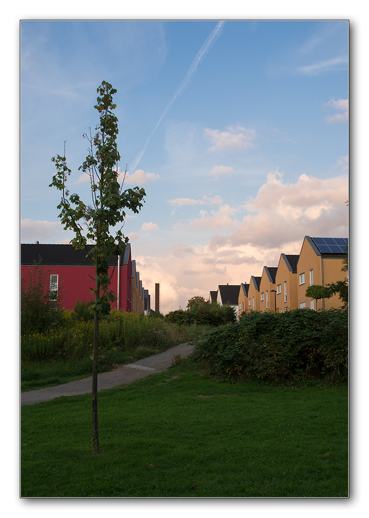 siedlung