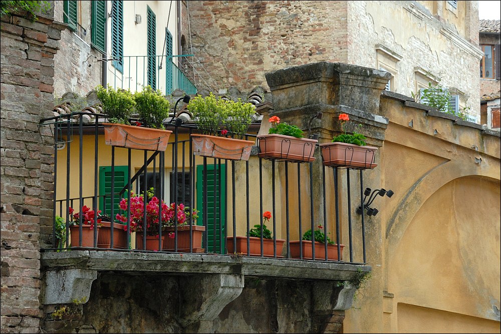 Siena