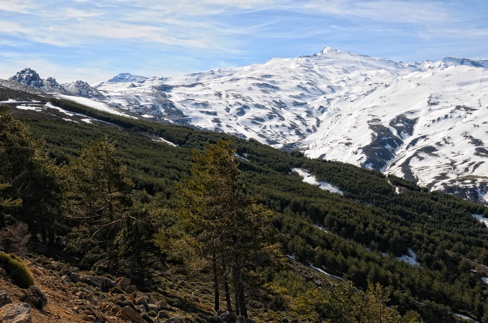 Sierra Nevada