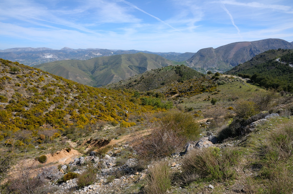 Sierra Nevada