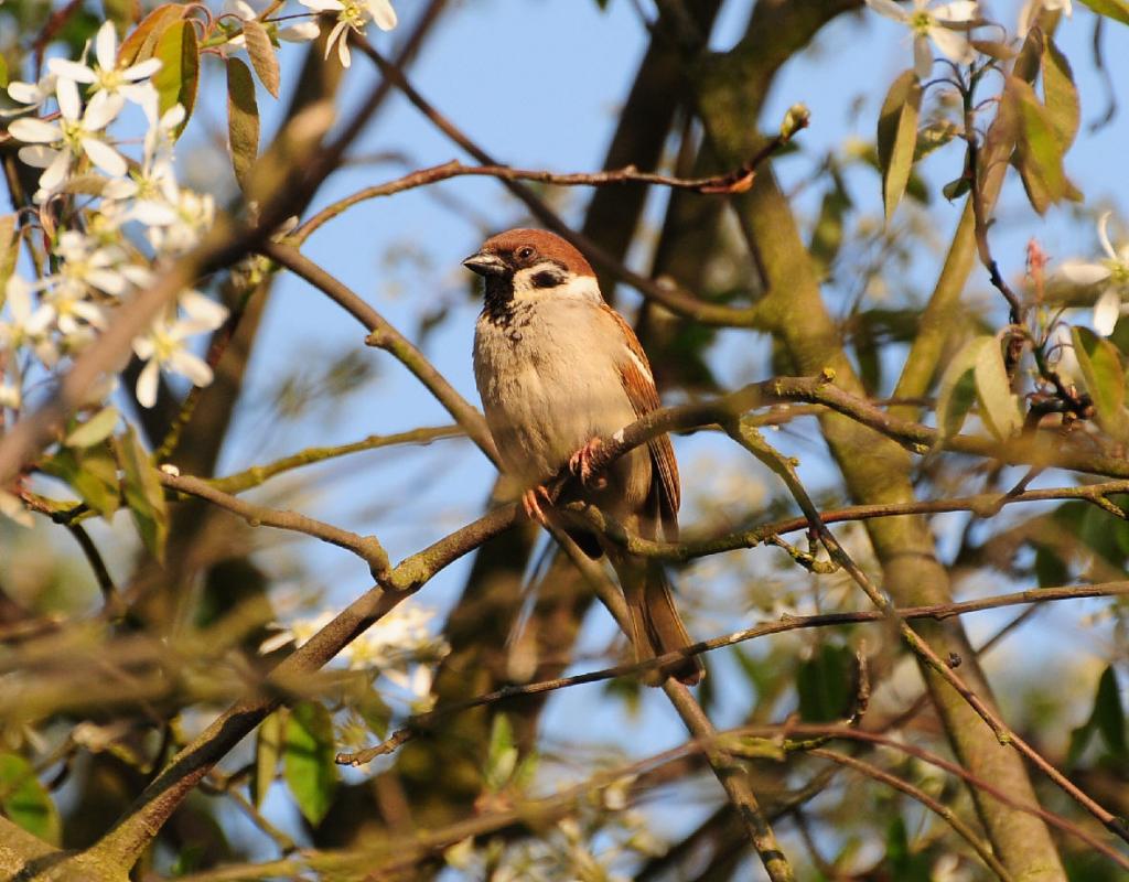 SIGMA 120-400/4