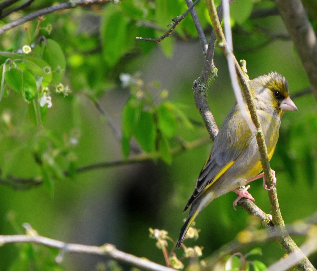 SIGMA 120-400/6
