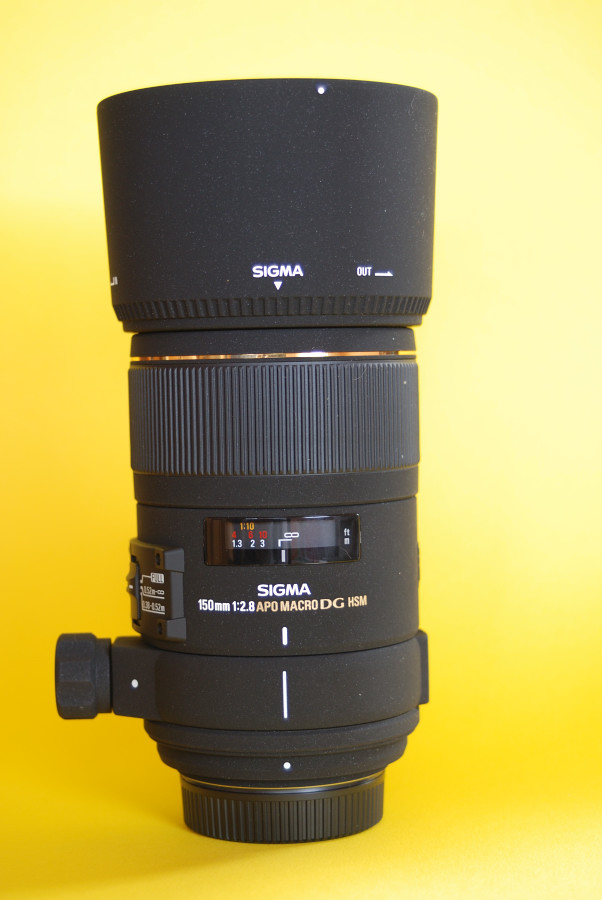 Sigma 150 2.8 Macro