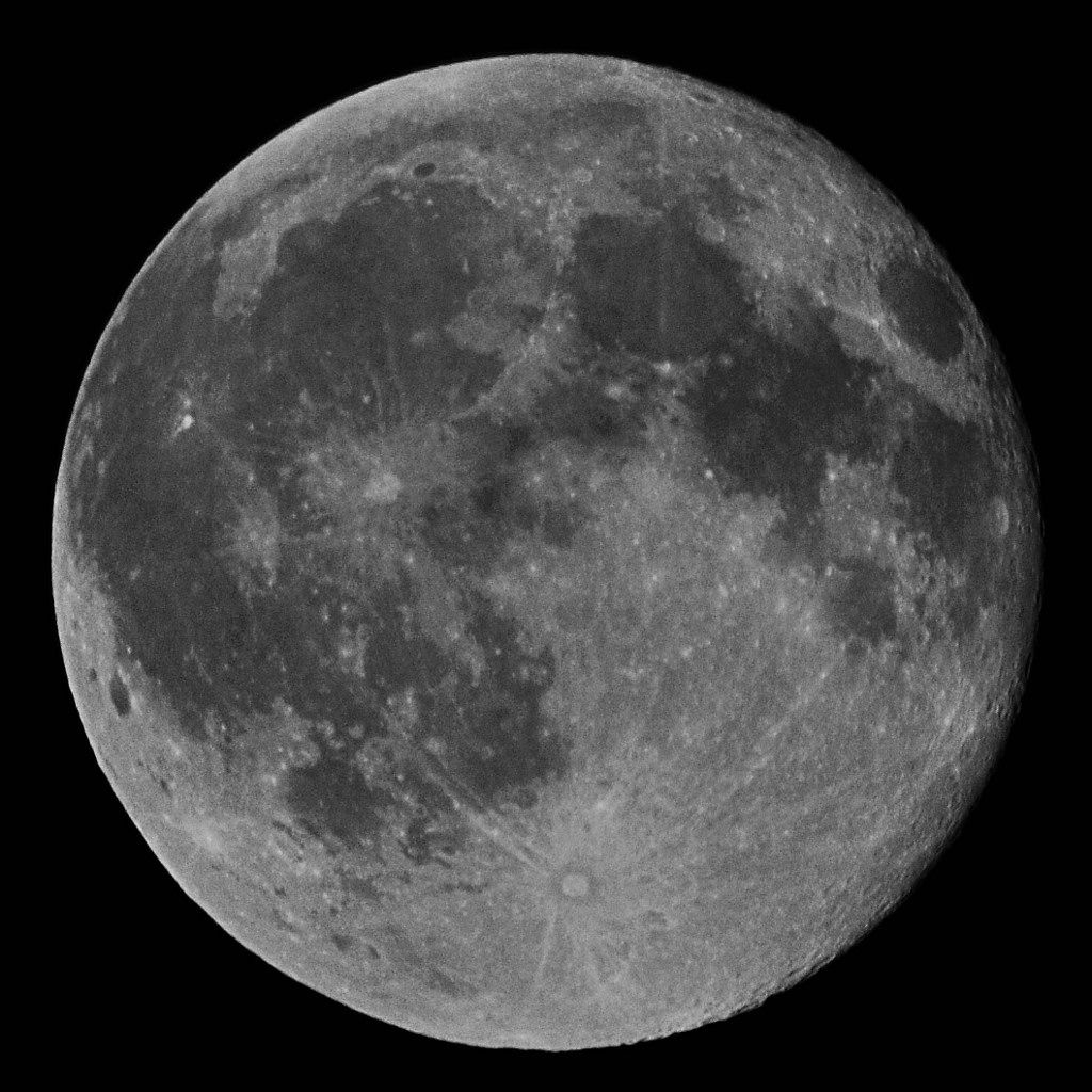 Sigma 150-500 + Sigma TC 1,4x