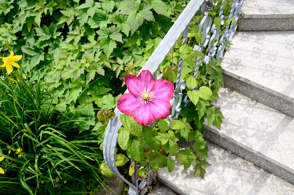 Sigma 18 200 C3332