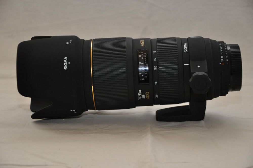 Sigma 70-200mm F 2,8 APO EX von Konijnenberg in Den Ham