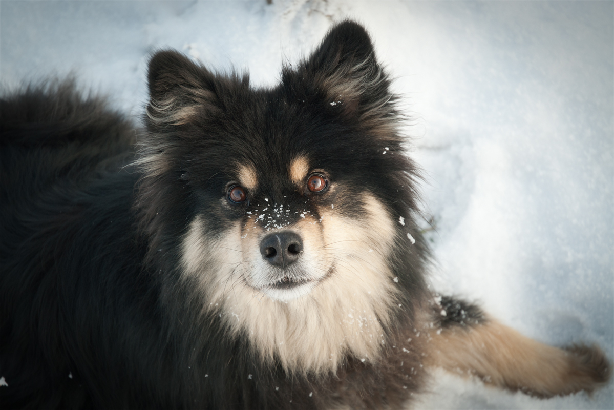 Silla_DSC_3485.jpg