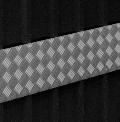silvermaxcrop