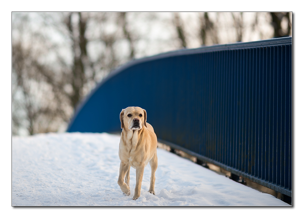 sina auf der brücke