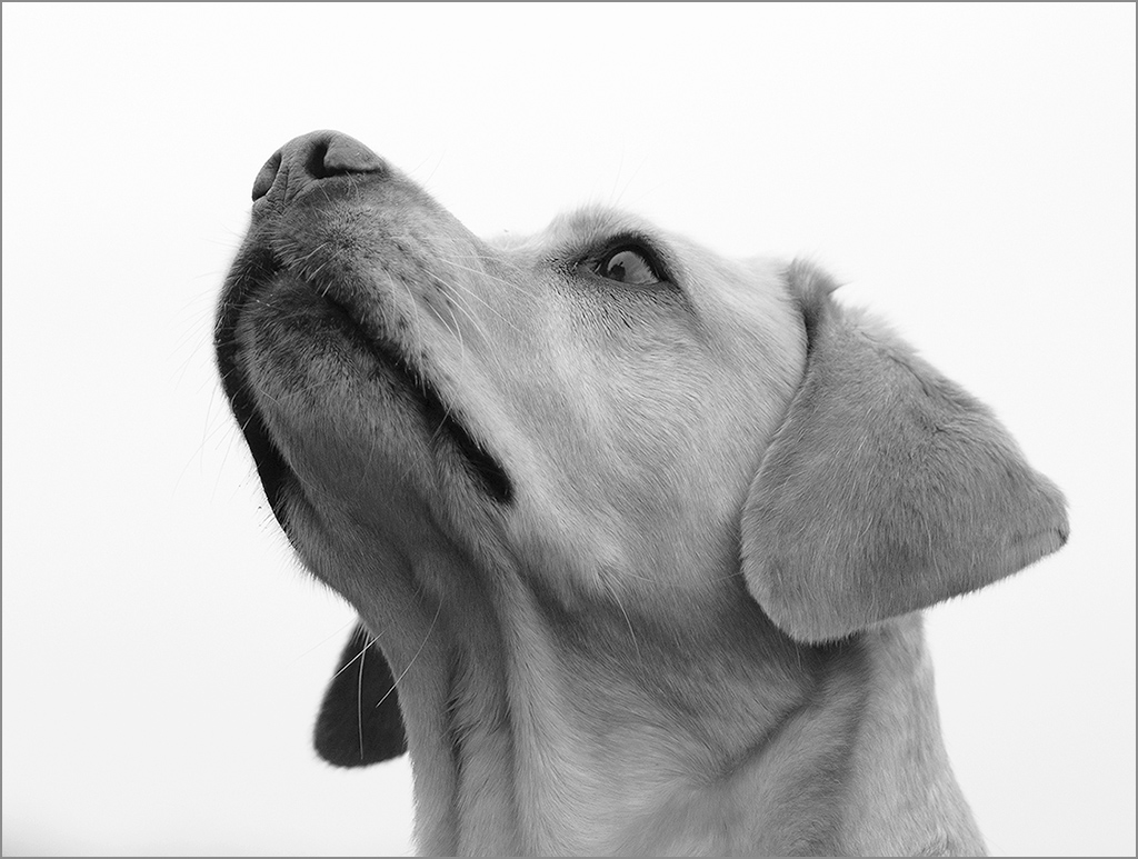 sina guckt in den himmel