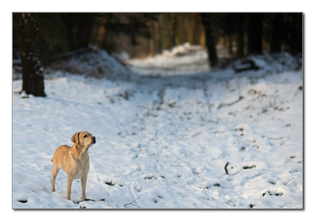 sina im schnee