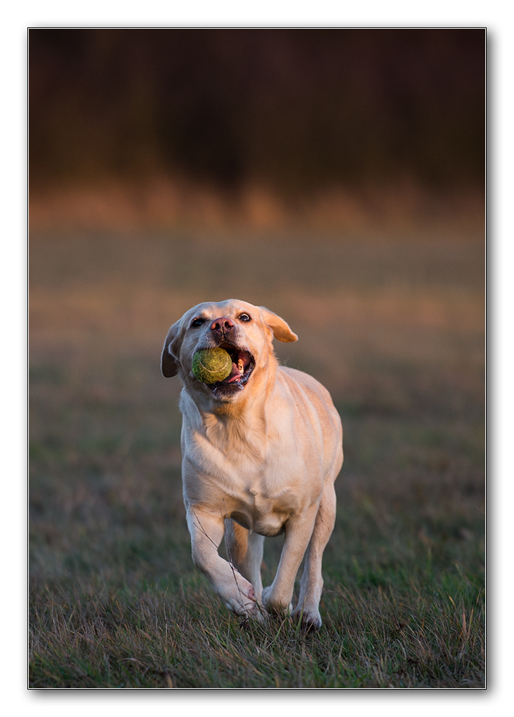 sina in der abendsonne