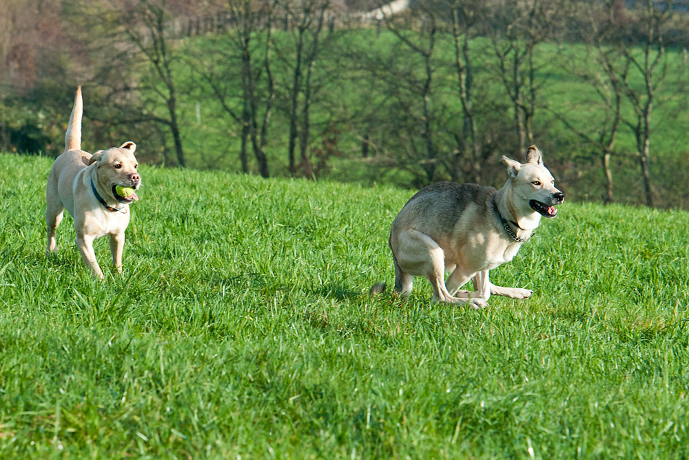 Sinas neuer Freund3