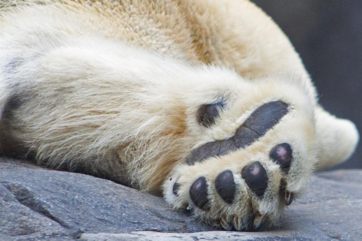 sleepy