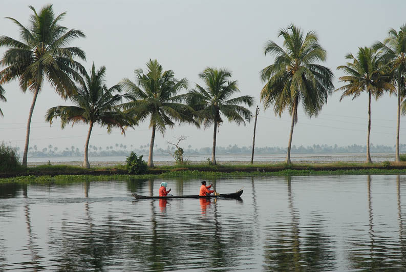 Smal boat in the Backwaters