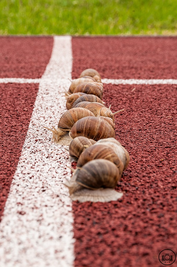 Snails on the racetrack