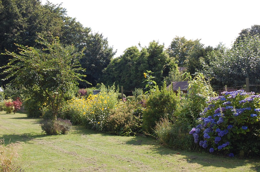 So, war jetzt nochmal im Garten. Mit Iso 200. Vielleicht erwarte ich ja auch zuviel, aber "in Natur" ist alles grüner ;-)