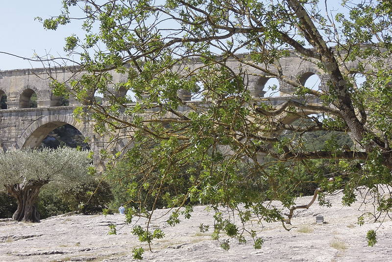 Sommer 2012 0057 low