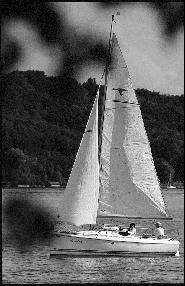 Sommer 2015 Starnberg 4