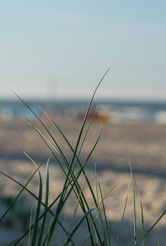 sommer13.7
