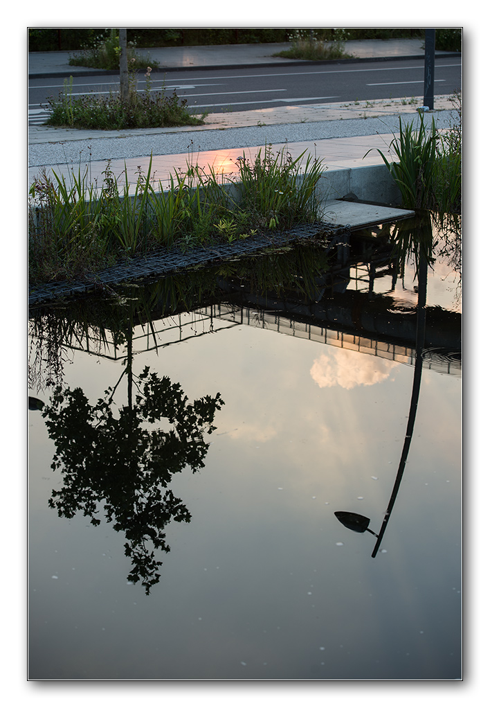sommerabend4