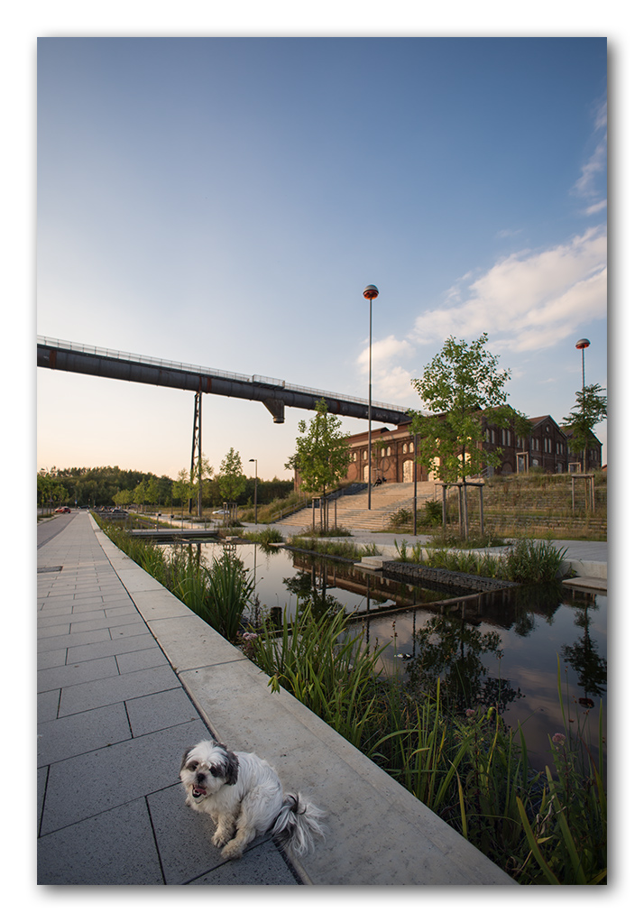 sommerabend5
