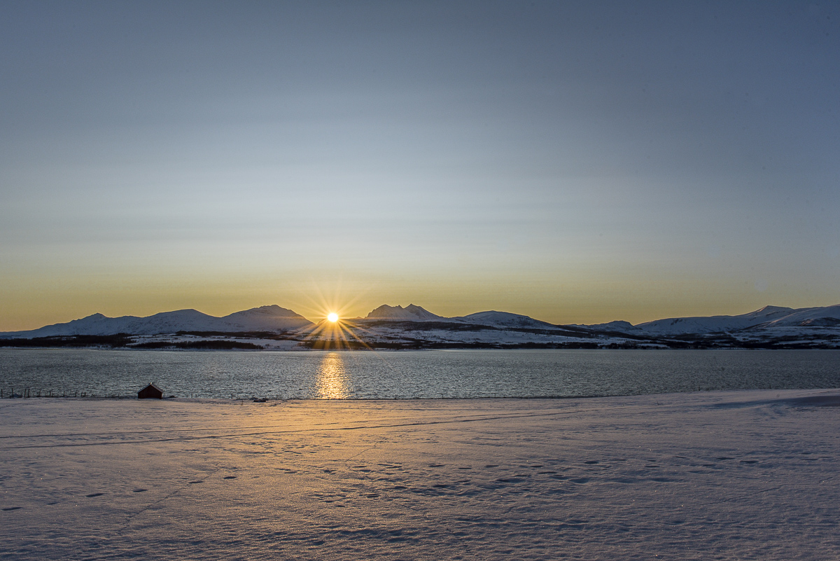 Sonne (1)