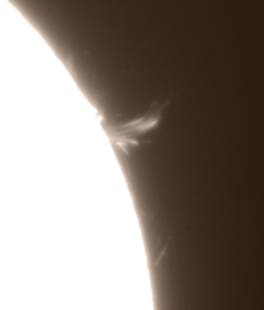 Sonne-2025-01-14_ProtS.jpg