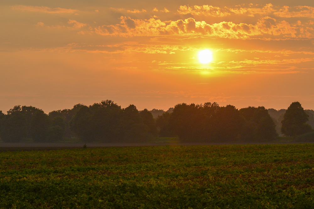 Sonne nach Unwetter1